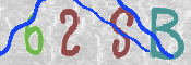CAPTCHA-Bild