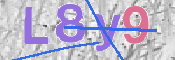 CAPTCHA-Bild